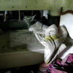 queen chateau2.jpg